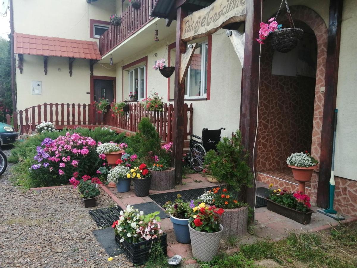 Jasionka Ustrzyki Dolne Exterior foto