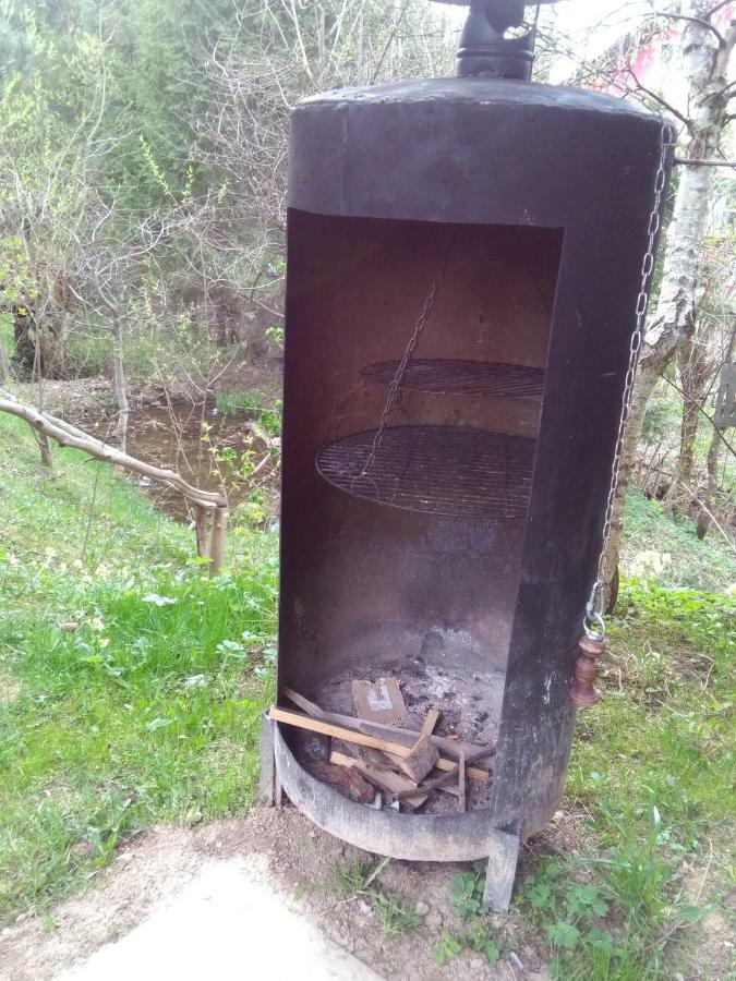 Jasionka Ustrzyki Dolne Exterior foto